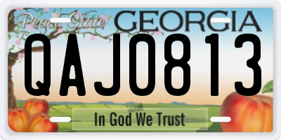 GA license plate QAJ0813