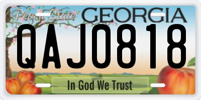 GA license plate QAJ0818