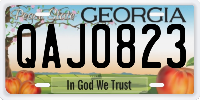 GA license plate QAJ0823