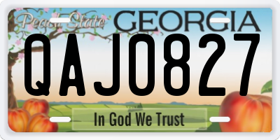 GA license plate QAJ0827