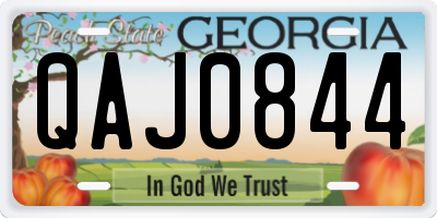 GA license plate QAJ0844