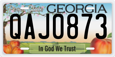 GA license plate QAJ0873