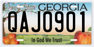 GA license plate QAJ0901