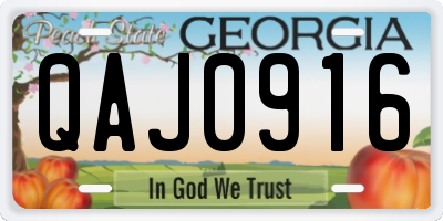 GA license plate QAJ0916