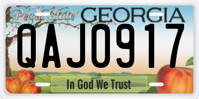 GA license plate QAJ0917