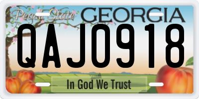 GA license plate QAJ0918