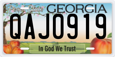 GA license plate QAJ0919