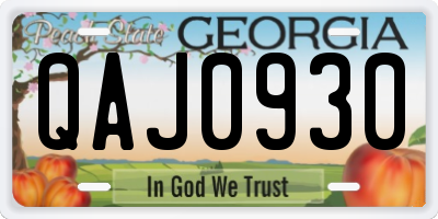 GA license plate QAJ0930