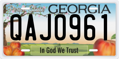 GA license plate QAJ0961