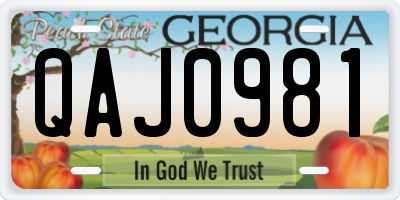 GA license plate QAJ0981