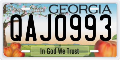 GA license plate QAJ0993