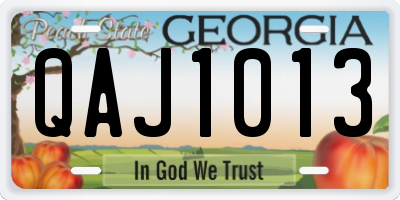 GA license plate QAJ1013