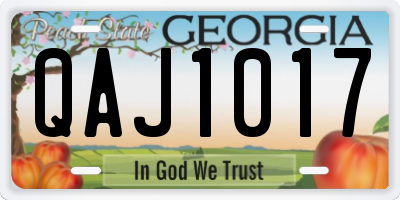 GA license plate QAJ1017