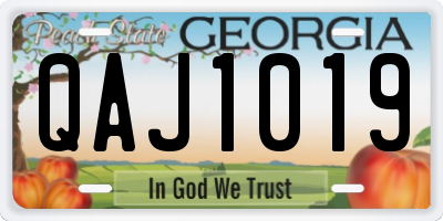 GA license plate QAJ1019