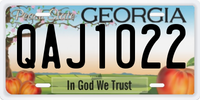 GA license plate QAJ1022