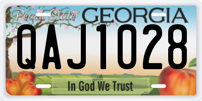 GA license plate QAJ1028
