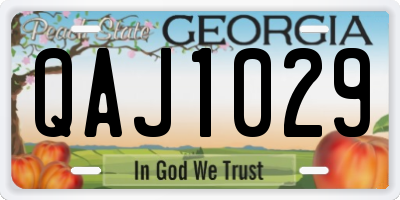 GA license plate QAJ1029