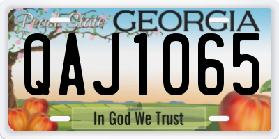GA license plate QAJ1065