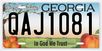 GA license plate QAJ1081