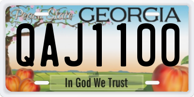 GA license plate QAJ1100