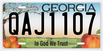 GA license plate QAJ1107
