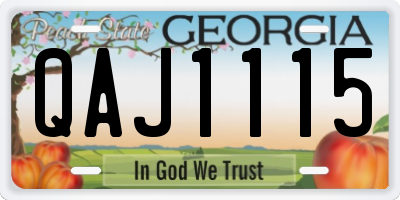 GA license plate QAJ1115