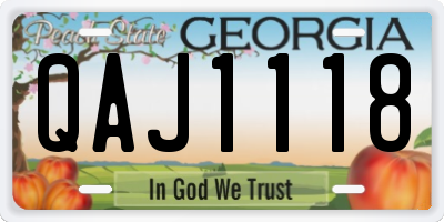 GA license plate QAJ1118