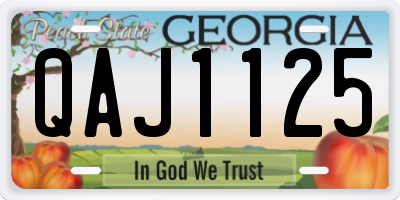 GA license plate QAJ1125