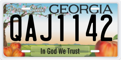 GA license plate QAJ1142