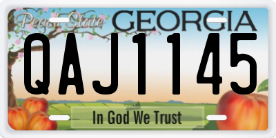 GA license plate QAJ1145