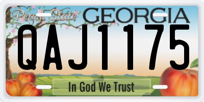GA license plate QAJ1175