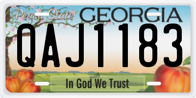 GA license plate QAJ1183