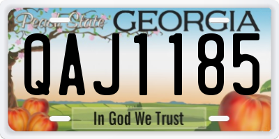 GA license plate QAJ1185