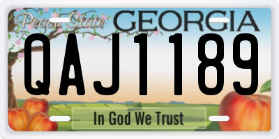 GA license plate QAJ1189