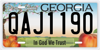 GA license plate QAJ1190