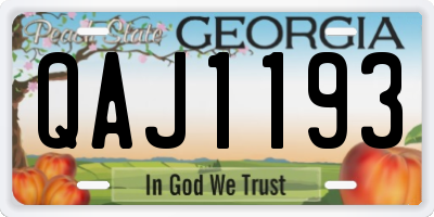 GA license plate QAJ1193