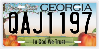 GA license plate QAJ1197
