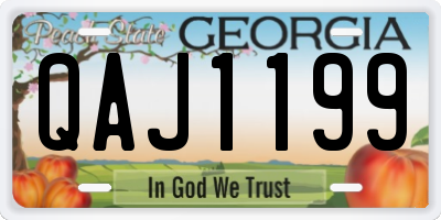 GA license plate QAJ1199