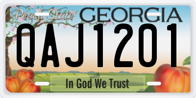 GA license plate QAJ1201
