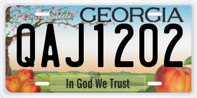 GA license plate QAJ1202