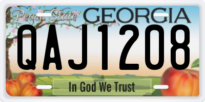 GA license plate QAJ1208