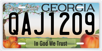 GA license plate QAJ1209