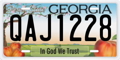 GA license plate QAJ1228