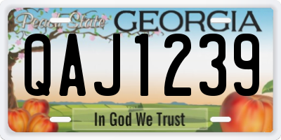 GA license plate QAJ1239