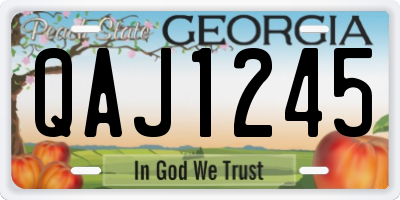 GA license plate QAJ1245