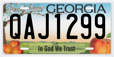 GA license plate QAJ1299