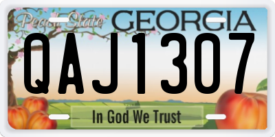 GA license plate QAJ1307