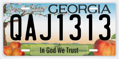 GA license plate QAJ1313