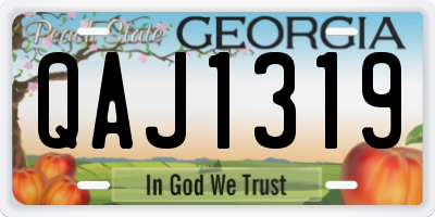 GA license plate QAJ1319