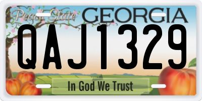 GA license plate QAJ1329